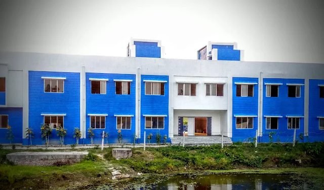 Institute building — rear view and campus pond